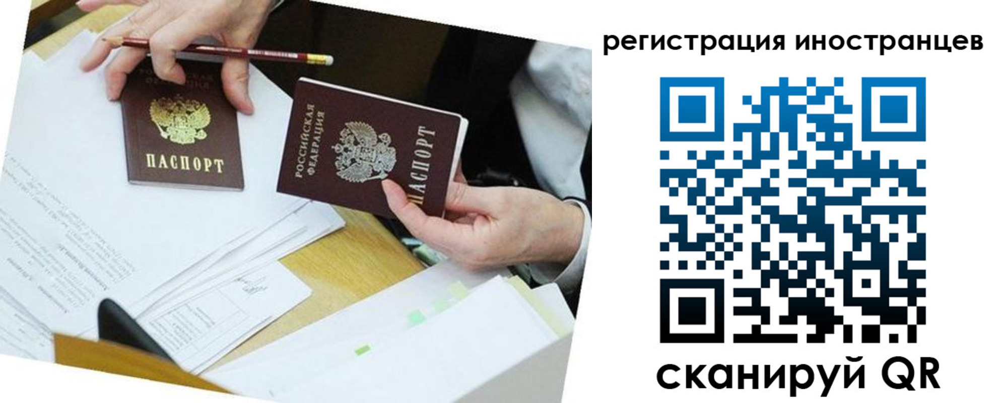 прописка ребенка в Дмитрове